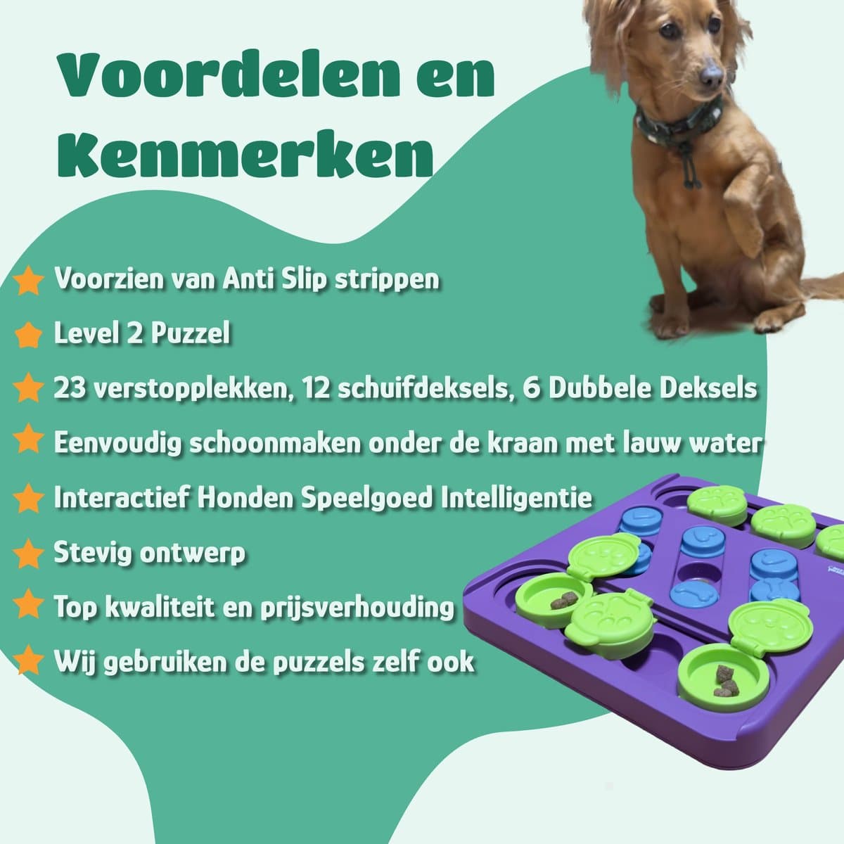 Mister Mill Puzzel Hond - Interactieve Hondenpuzzel - Intelligentiespeelgoed Hond / Kat - Denkspel Hond - Schatkist - Level 2 - Snuffel Schat - Interactieve Hond - Interactief Kattenspeelgoed - 30 x 27 CM thumbnail 4