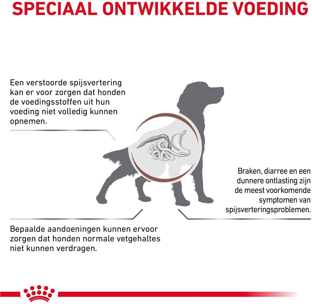 Royal Canin Veterinary Diet Gastro Intestinal Low Fat - Hondenvoer - 12 kg thumbnail 7