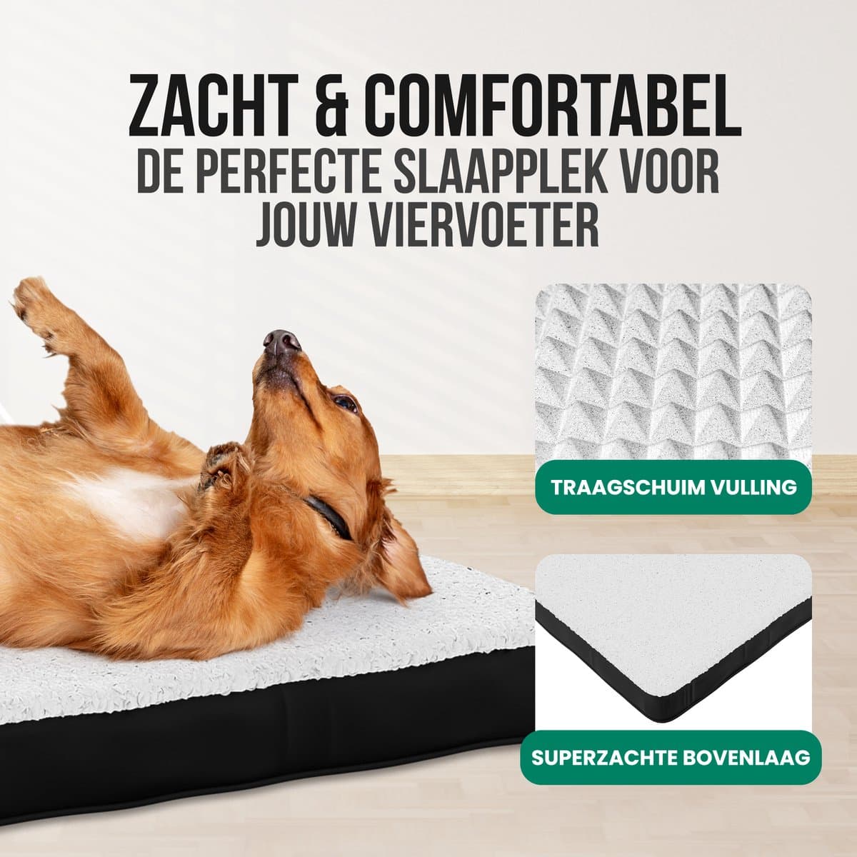 Avalo Orthopedisch Hondenkussen S - 45x65 cm - Wasbaar / Traagschuim / Antislip - Orthopedische Hondenmand - Hondenbed thumbnail 3