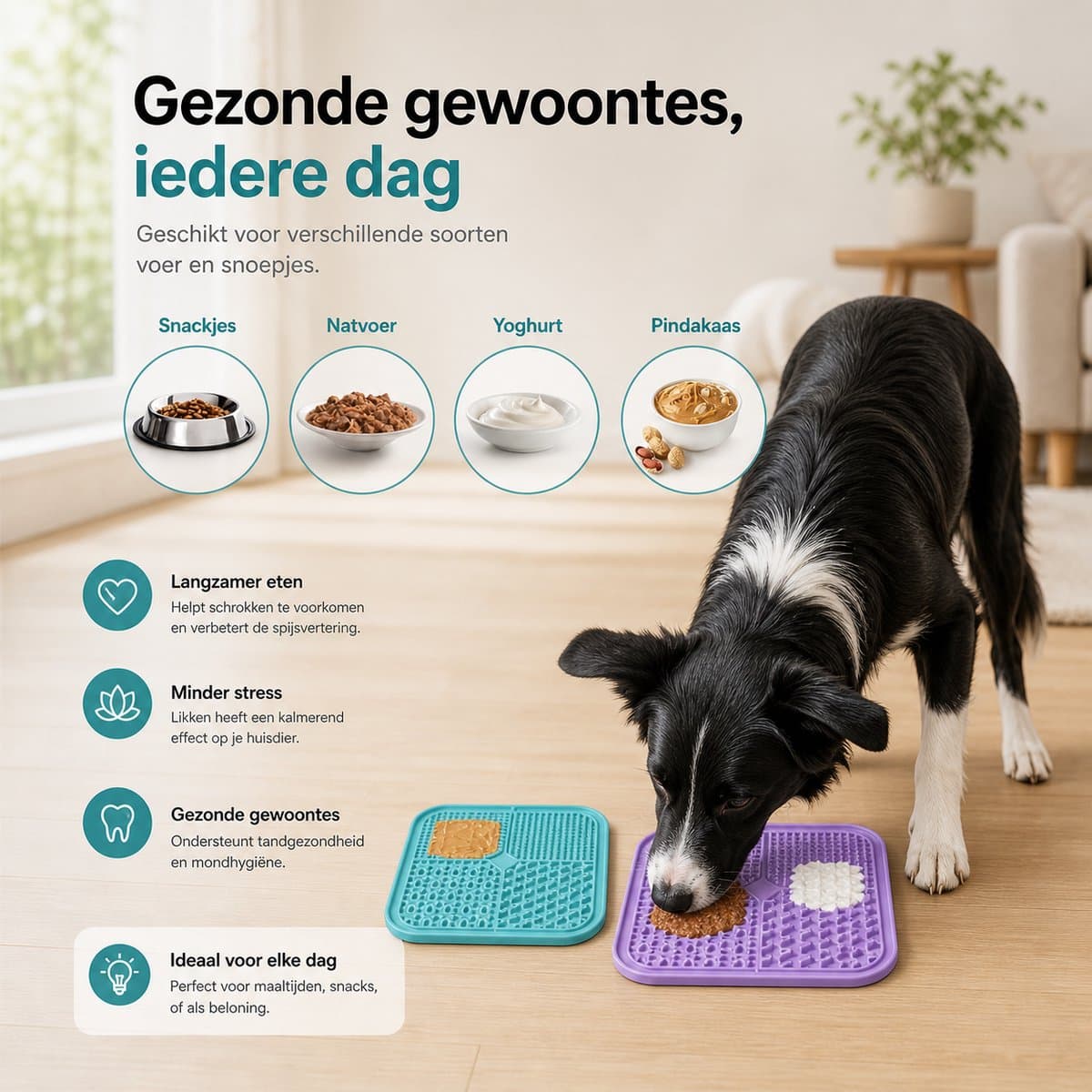 BOTC Likmat Hond met Silicone spatulas - 3-Delig Likmat Voermat Hond - voermat - Slowfeeder Hond - Paars /Blauw thumbnail 2