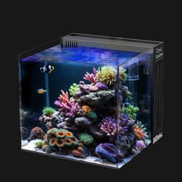 Productfoto van AQUANO Nano Aquarium 40 cm met pomp en LED