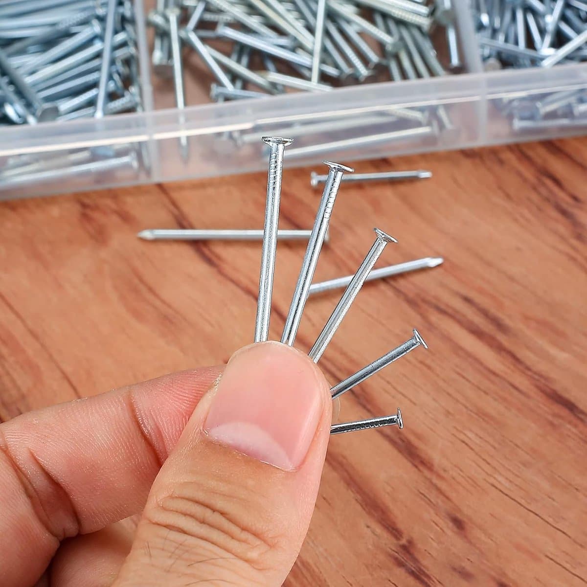 Nagelset Muur - Wandnagels Assortiment - Foto Ophangen Houtbewerking - Vlakke Kop Spijkers - 720 Stuks - Zilver thumbnail 2