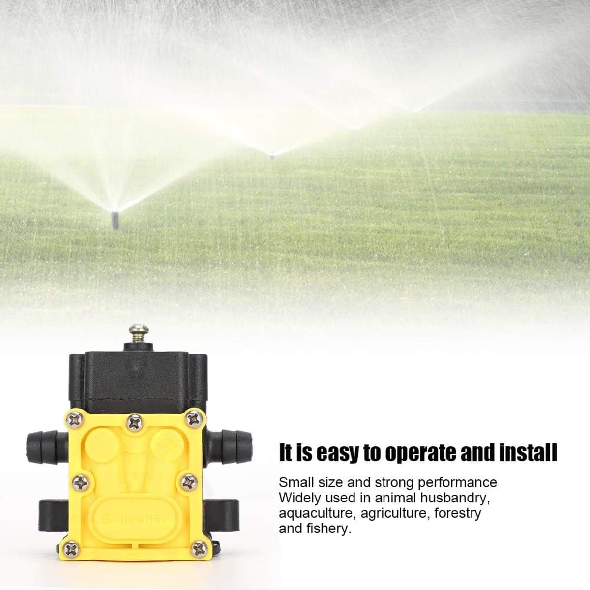 Dailygoody - Diaphragma Waterpomp - 12V - Elektrische spuitpomp - Voor tuin en caravan - Krachtig en efficiënt - Makkelijk te installeren - Geschikt v... thumbnail 2