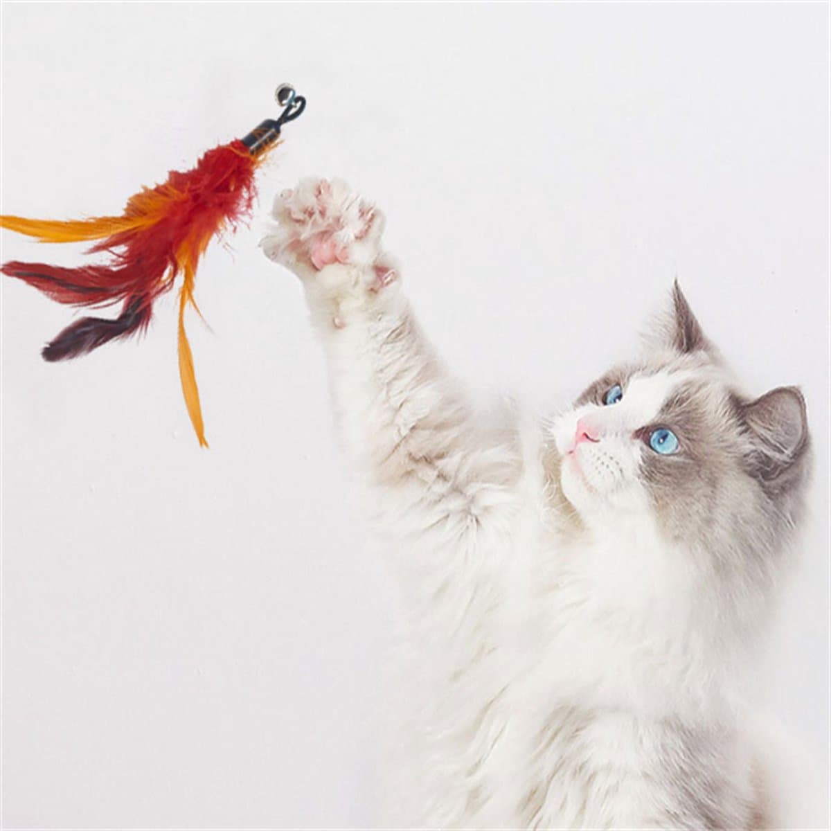 Kattenhengel met 10 opzetstukjes - Kat Speelhengel met Veren - Speelgoed Hengel voor Katten – Kittenspeeltjes met Veer – Kattenspeelgoed – Katten speeltjes thumbnail 6