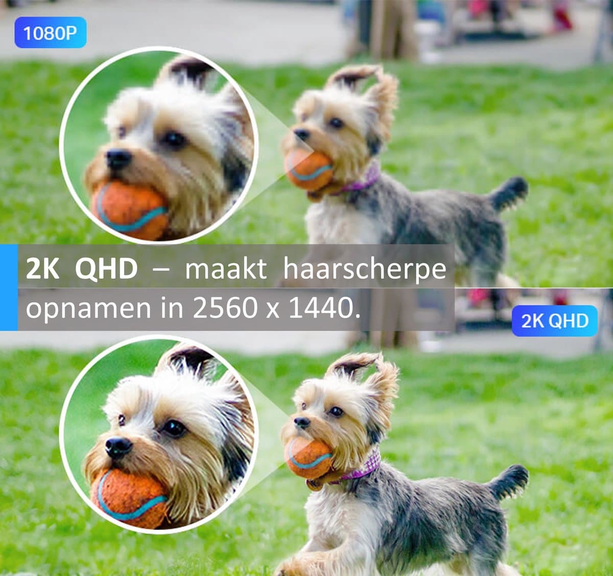 Tapo C320WS Beveiligingscamera buiten - 2K QHD - IP66 - WiFi thumbnail 3