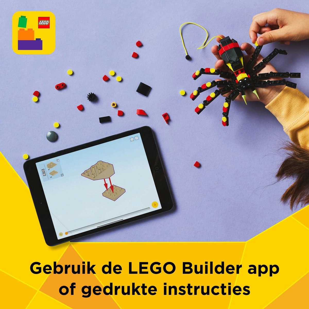 LEGO Creator 3-in-1 Wilde dieren: spannende spin - 3 bouwmodellen thumbnail 4