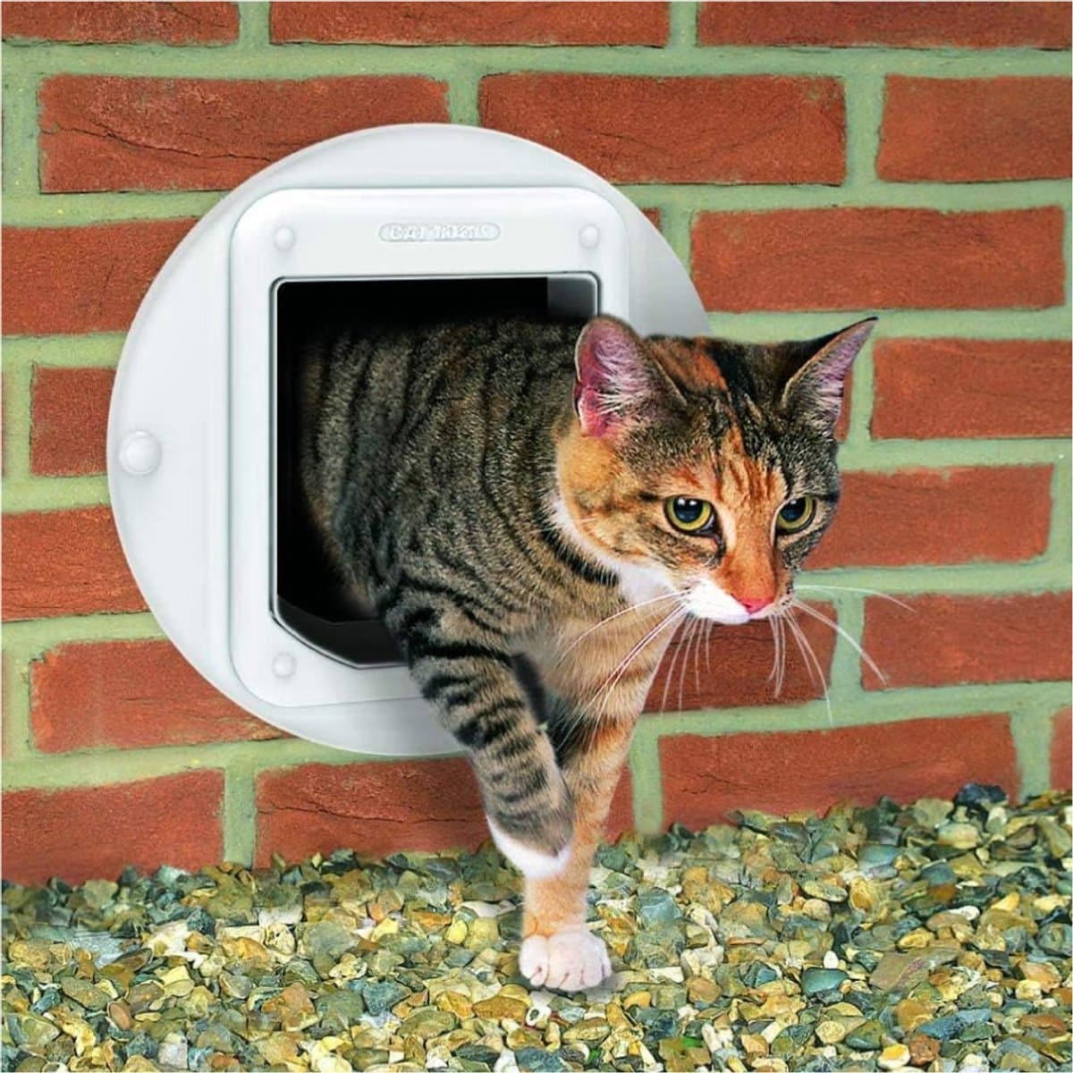 Kattenluik met Microchip - Kattenluik - Toegang max. 30 Huisdieren - Weerbestendig - Bruin thumbnail 3