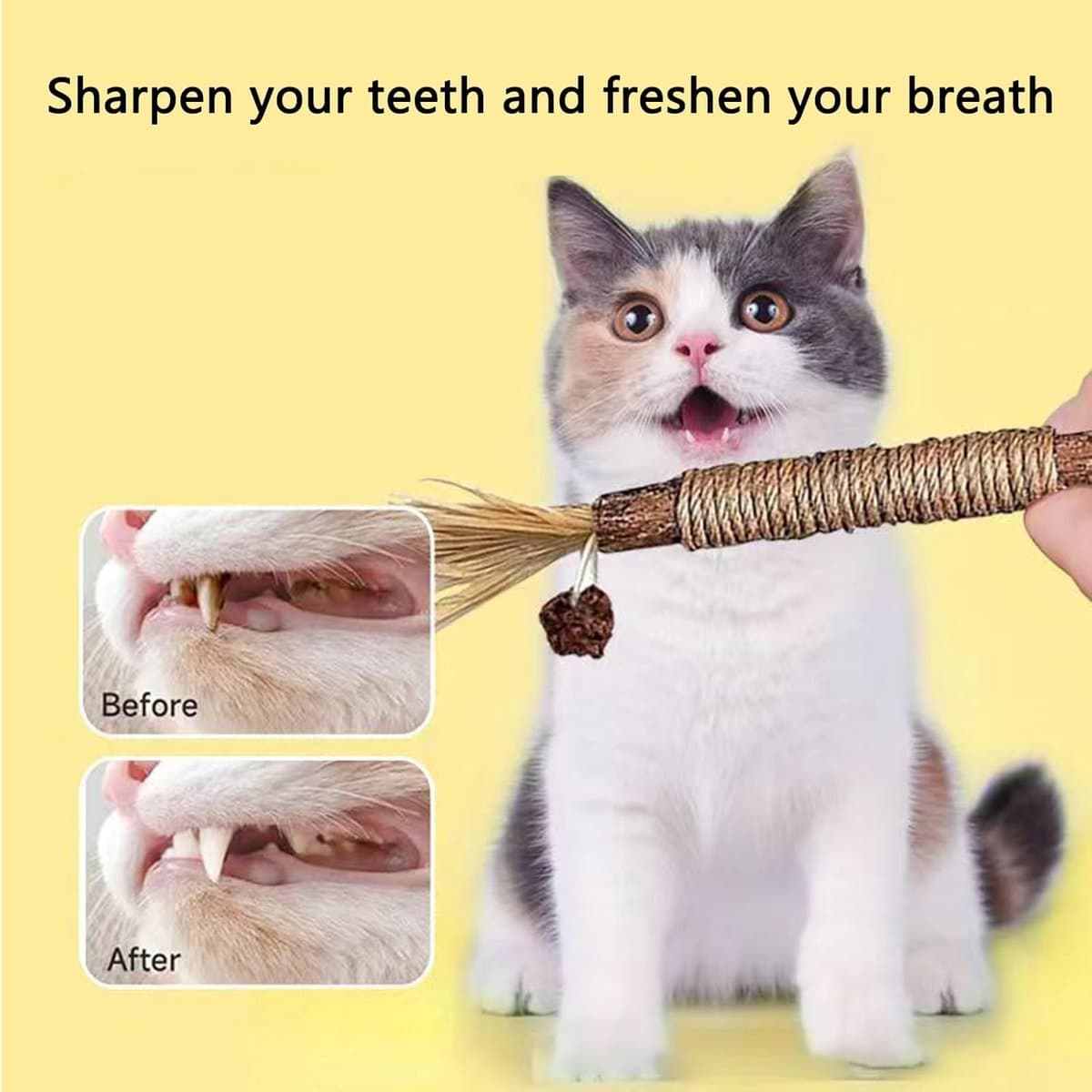 Kauwsticks Kattenspeelgoed - 6 stuks Matatabi Stokjes voor Katten - Natuurlijke Matatabi Catnip Sticks Kitten Tandjesspeeltje - Kat Tanden Reiniging Kauwbare Catnip Speelgoedsticks - voor Binnen Kittens thumbnail 3