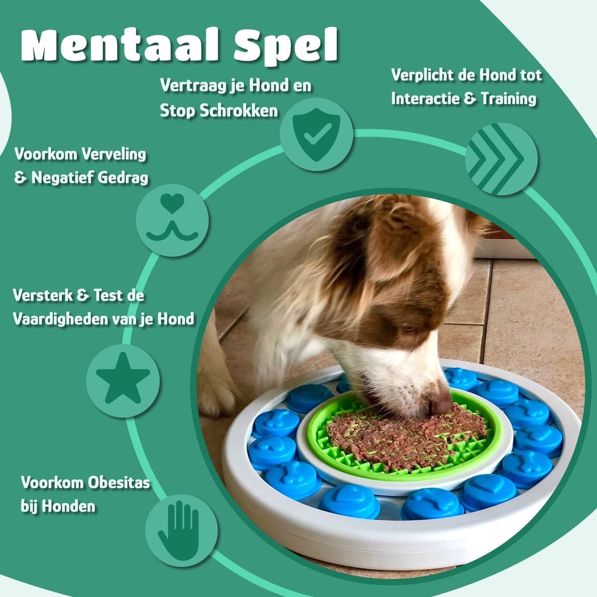 Mister Mill Puzzel Hond - Interactieve Hondenpuzzel - Intelligentiespeelgoed Hond / Kat - Denkspel Hond - Schatkist - Level 2 - Snuffel Schat - Interactieve Hond - Interactief Kattenspeelgoed - 30 x 27 CM thumbnail 8