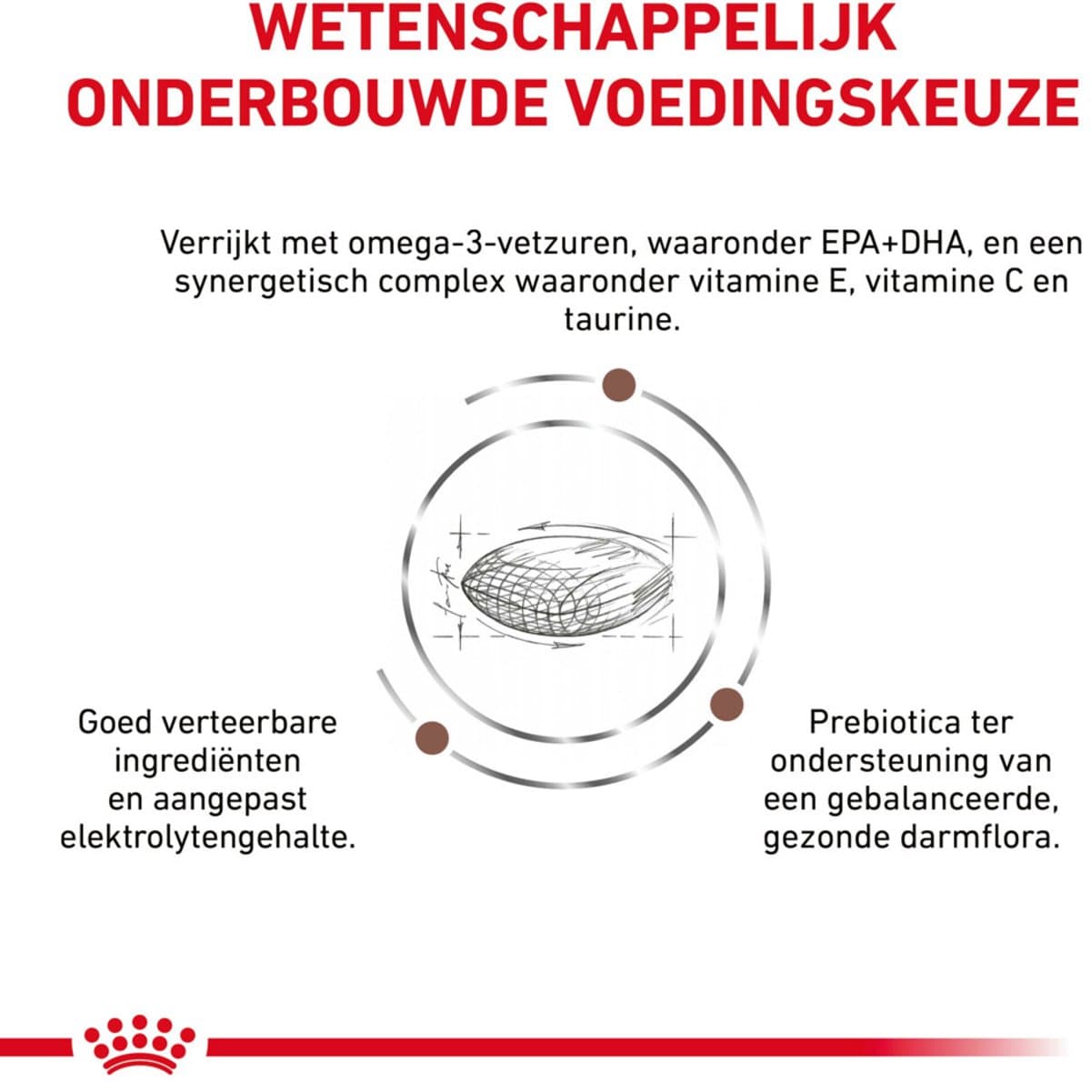 Royal Canin - Hondenvoer Droog Gastrointestinal Low Fat Small Dog - 1,5 kg thumbnail 4