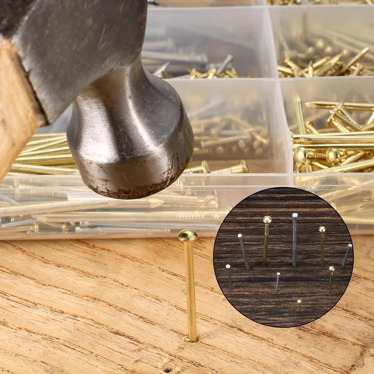 Diverse nagelset met 1000 stuks voor doe-het-zelf en knutselen - Platte nagels voor houtbewerking en ophangen van foto's thumbnail 5