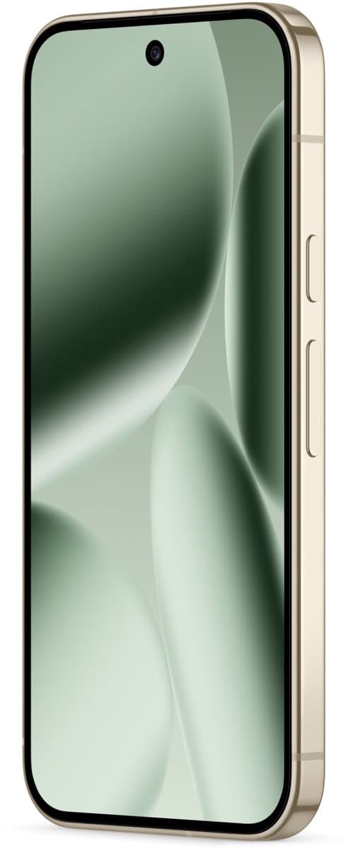 Google Pixel 10 Pro XL 5G - 16GB/256GB - Groen (Jade) thumbnail 7