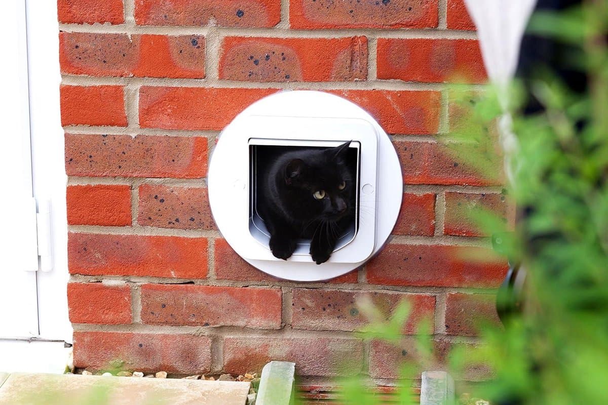 Microchip Cat Flap- Sureflap 70936-Brown-For Microchip Identification thumbnail 7