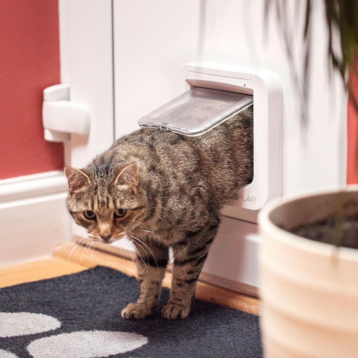Microchip Cat Flap- Sureflap 70936-Brown-For Microchip Identification thumbnail 3