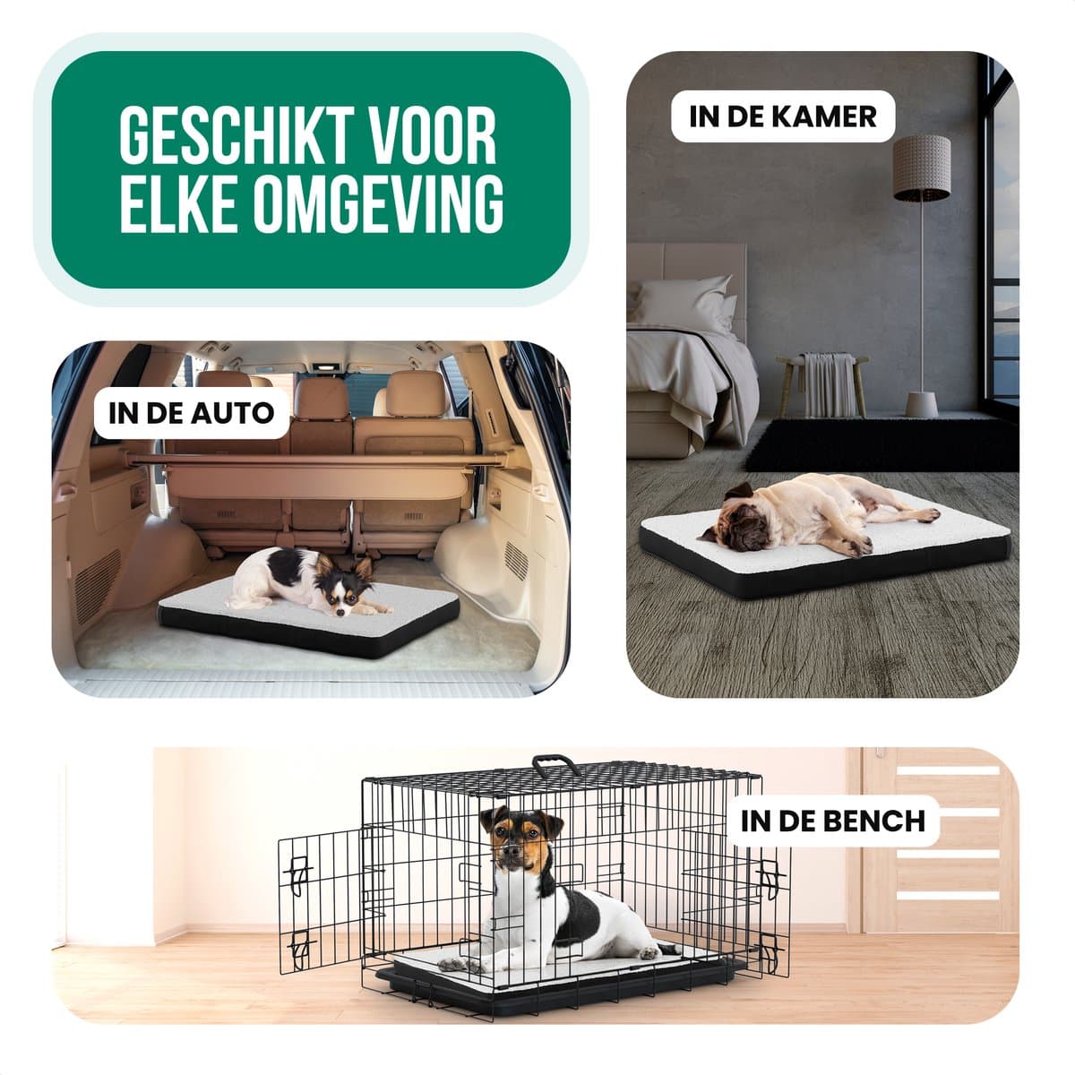 Avalo Orthopedisch Hondenkussen S - 45x65 cm - Wasbaar / Traagschuim / Antislip - Orthopedische Hondenmand - Hondenbed thumbnail 7