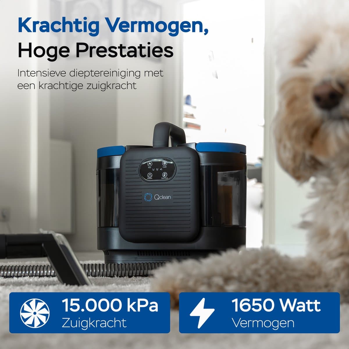 Qclean Tapijtreiniger PRO 4-in-1 met stoom & sterilisatie thumbnail 3