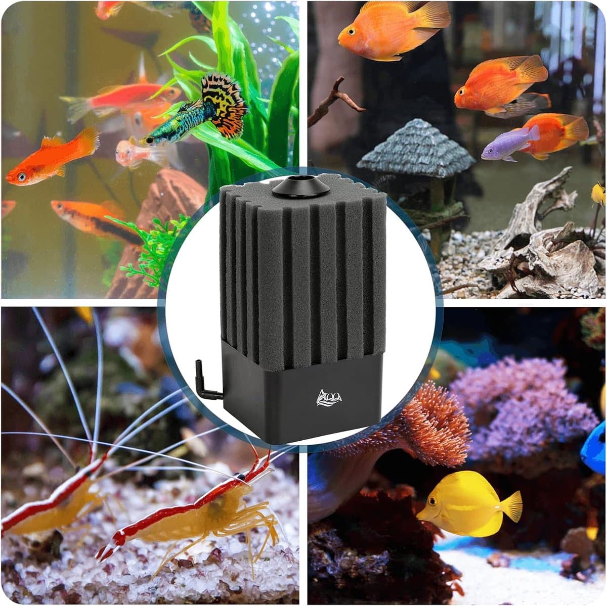 SnelShoppen - Aquarium sponsfilter, stille binnenfilter voor biologisch en mechanisch filteren, luchtlift filter met filtermateriaal voor 4 mm luchtbu thumbnail 6