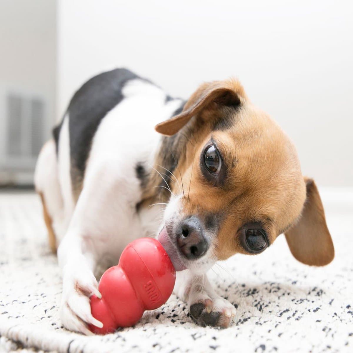 KONG Classic - Snackbal Honden Speelgoed - Rubber - 7.6 cm - Rood - Maat S thumbnail 8