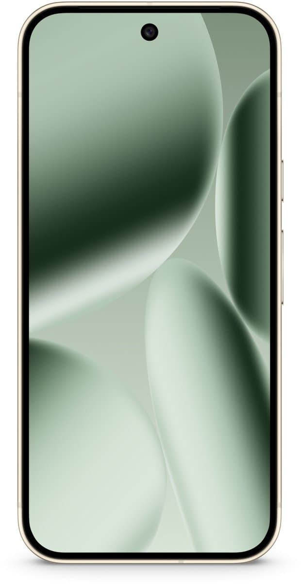 Google Pixel 10 Pro XL 5G - 16GB/256GB - Groen (Jade) thumbnail 8