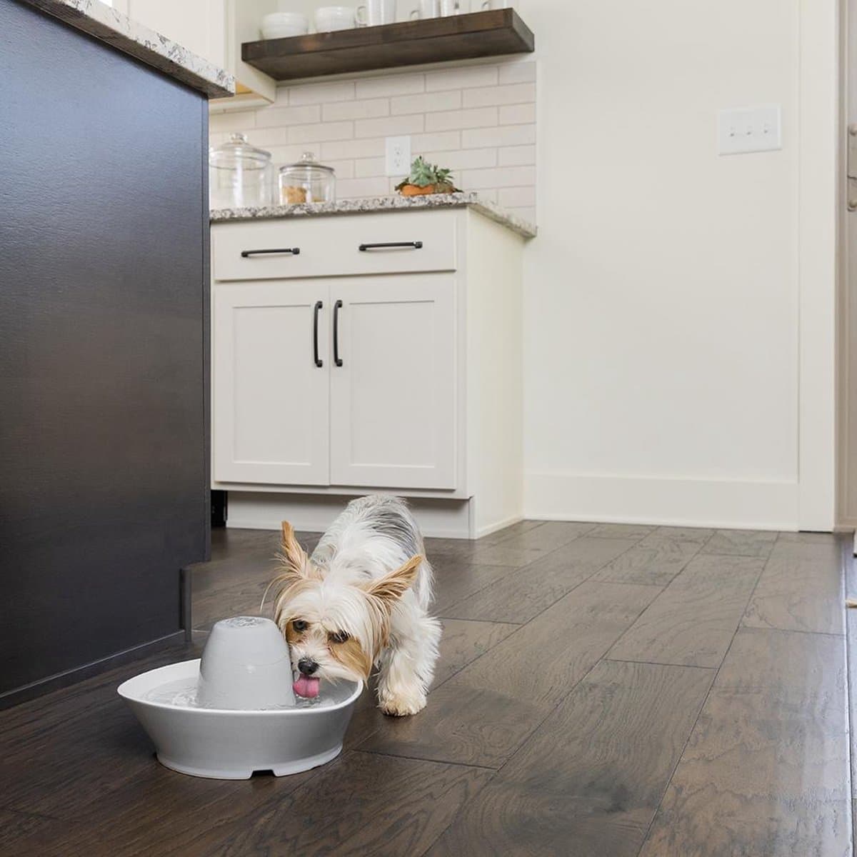 PetSafe® Streamside Ceramic Pet Fountain - Keramische drinkfontein voor katten en kleine honden - Water borrelt zacht over de toren - Door het design van alle kanten bereikbaar - 1,8 liter - PetSafe Streamside thumbnail 4