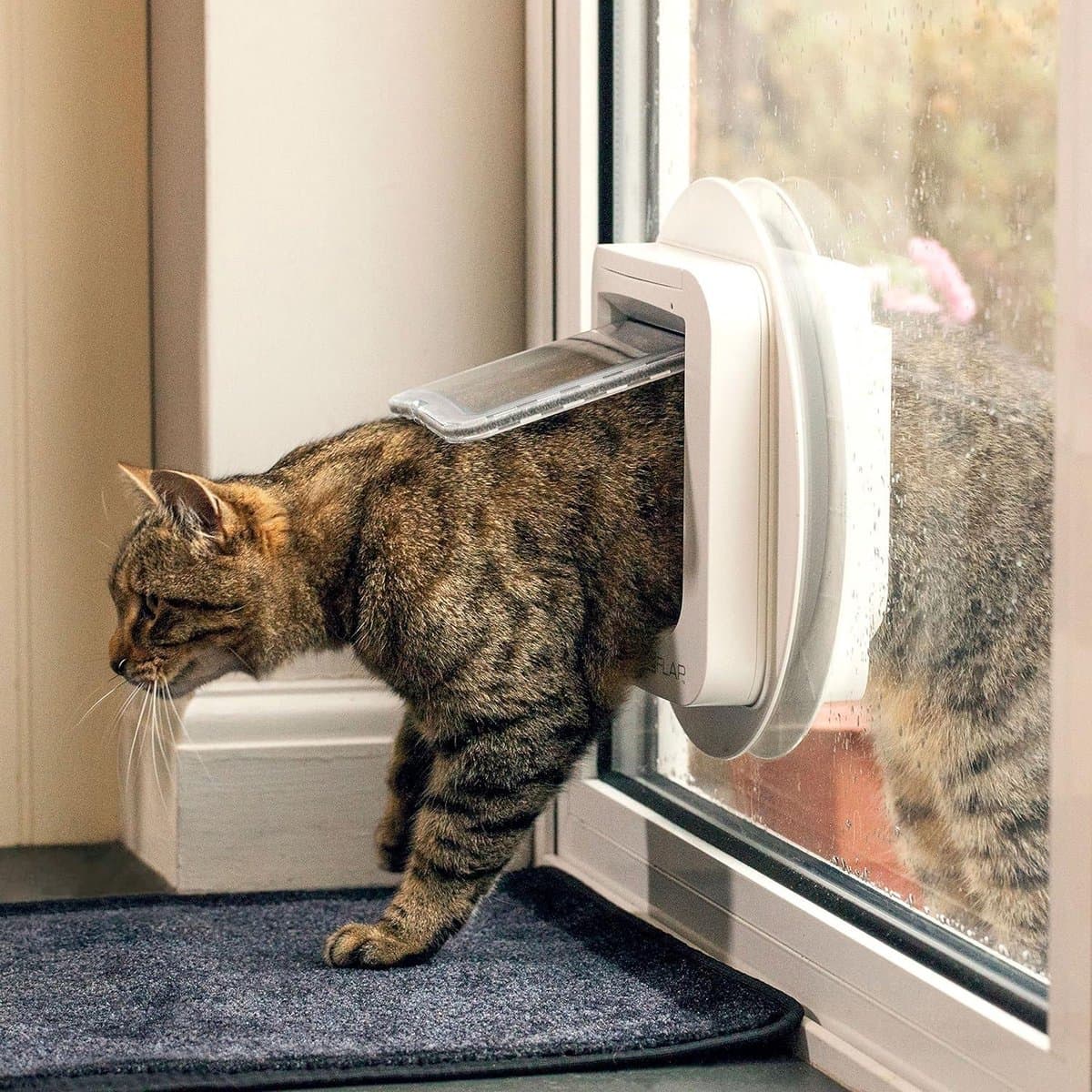 Microchip Cat Flap- Sureflap 70936-Brown-For Microchip Identification thumbnail 2