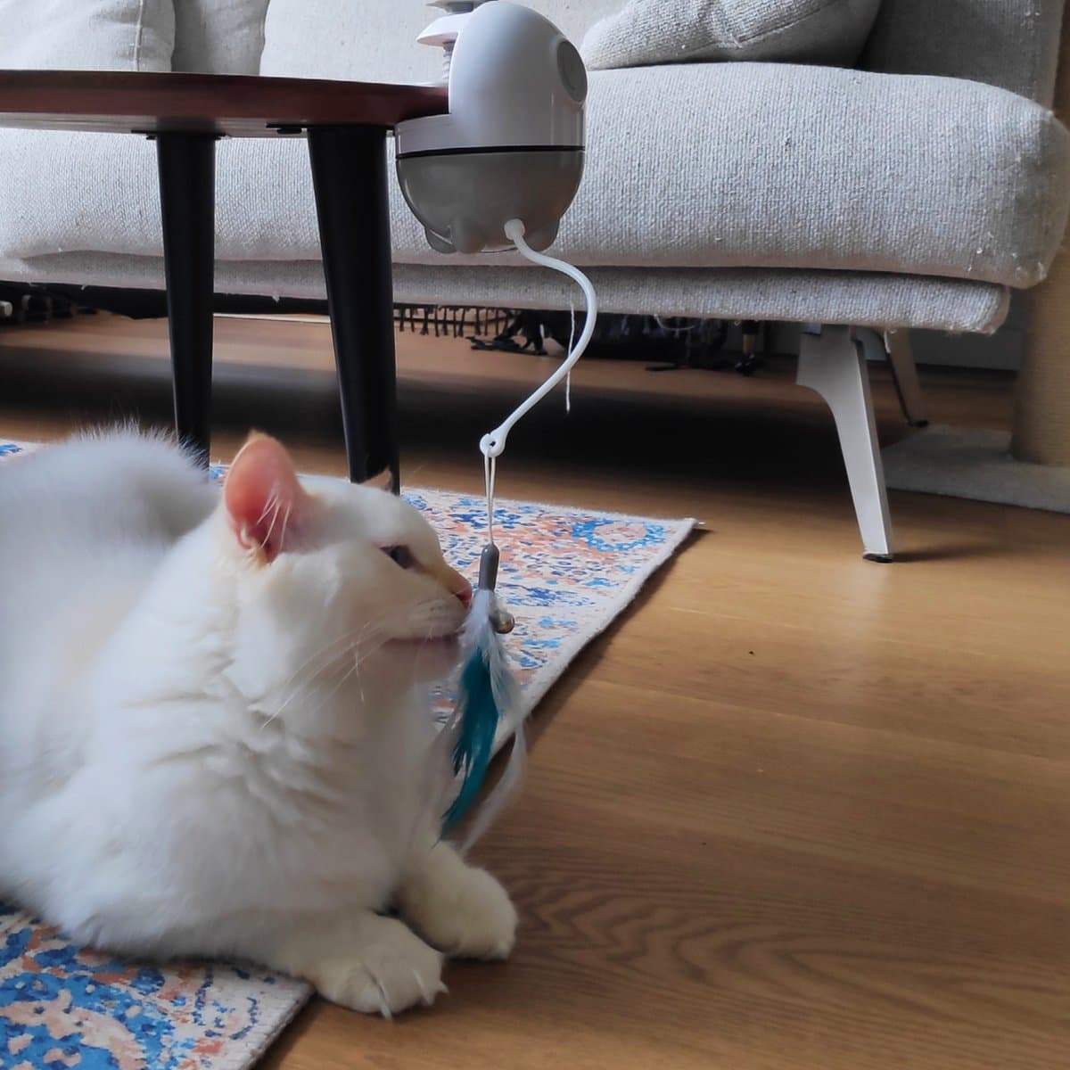 Veren en Lint voor Filo Rijdend en Hangend Kattenspeelgoed met Laser thumbnail 4