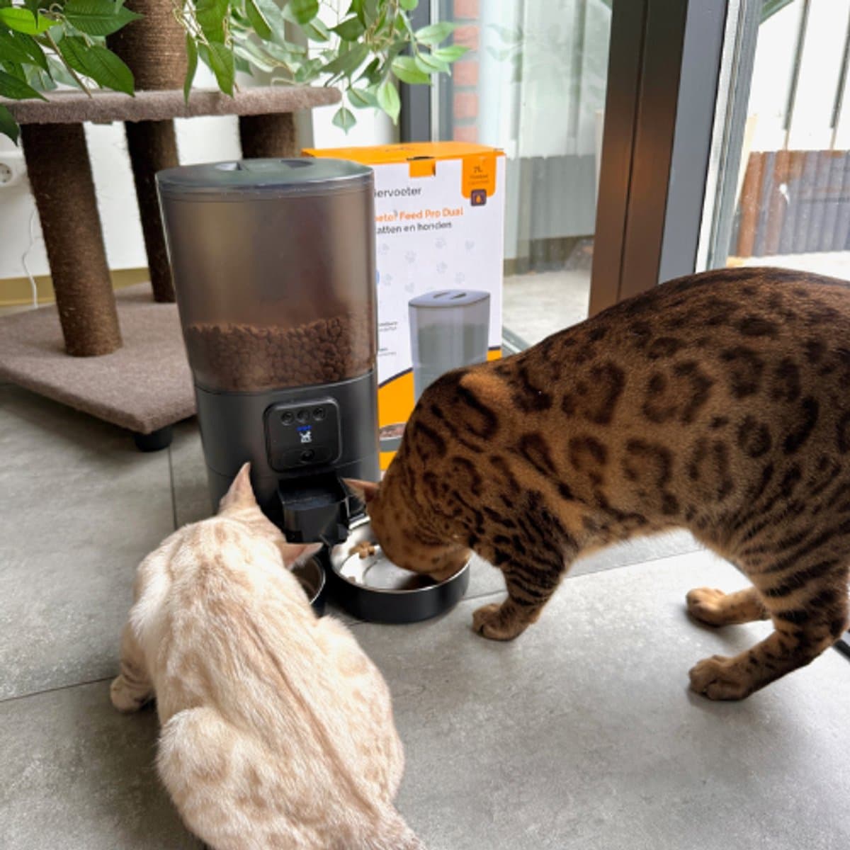 Viervoeter Feed Pro Dual - Automatische Voerbak 7L - HD camera & Audio - Kat en Hond - Voerautomaat met App - Zwart thumbnail 5