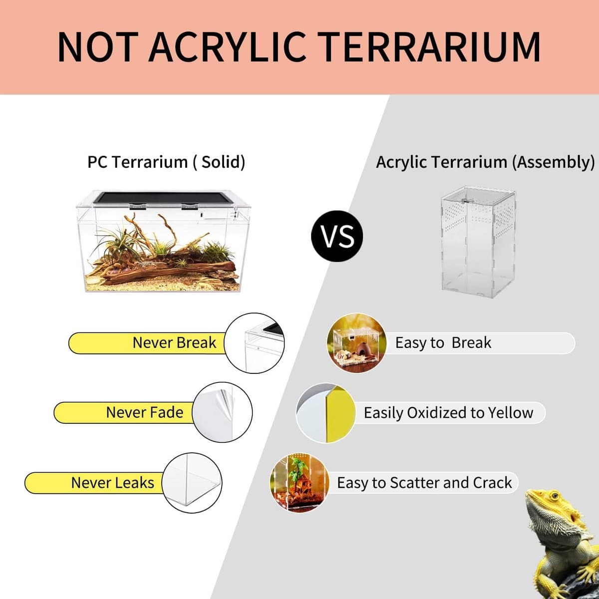 Growth Terrarium Complete set, 50 x 25 x 27 cm faunarium voor slakken, insecten, waterschildpadden, vogelspinnen, springspinnen, luipaard gekko, bebaarde draak, kikker, aquarium, emietkreeften thumbnail 5