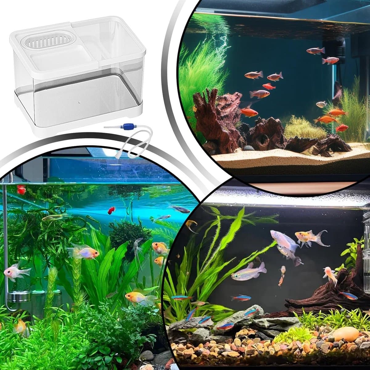 Aquarium Complete Set - Kleine Visbak - Decoratieve Woondecoratie - Kristalhelder Zicht - 30 x 19 x 18 cm - Wit thumbnail 4
