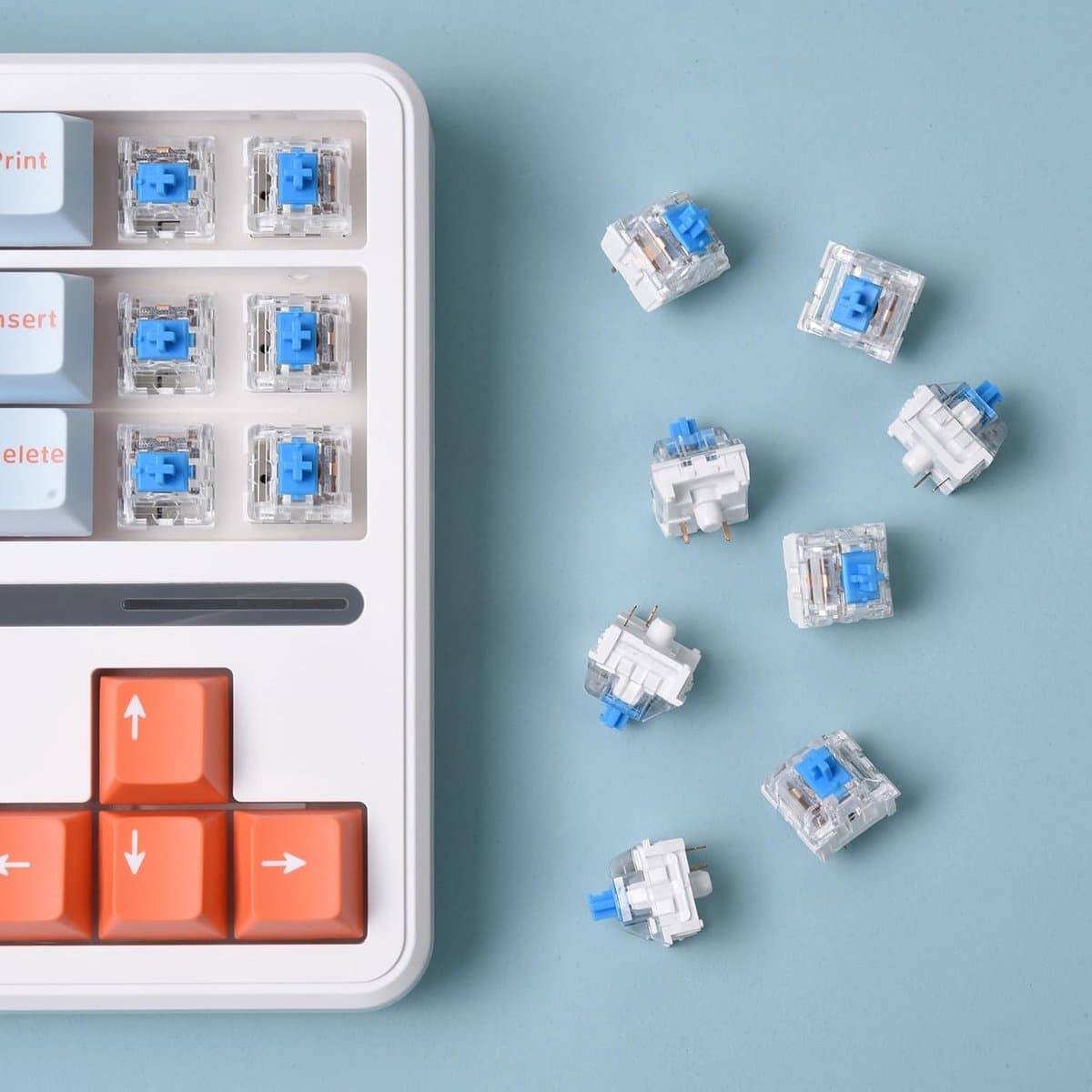 200 accessoires voor mechanische toetsenborden - Toetsen - DIY hot-swappable kruisvormige schakelaars - Klikkend, nauwkeurig typen, stofbestendig, universele vervangingsonderdelen voor kantoor en gaming - Blauw thumbnail 3
