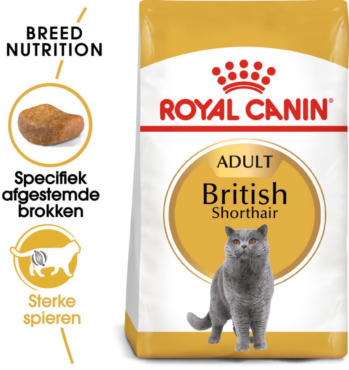 Royal Canin British Shorthair Adult - Voer voor sterkere spieren thumbnail 5