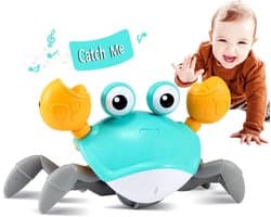 Joyage Krab Kruipspeelgoed