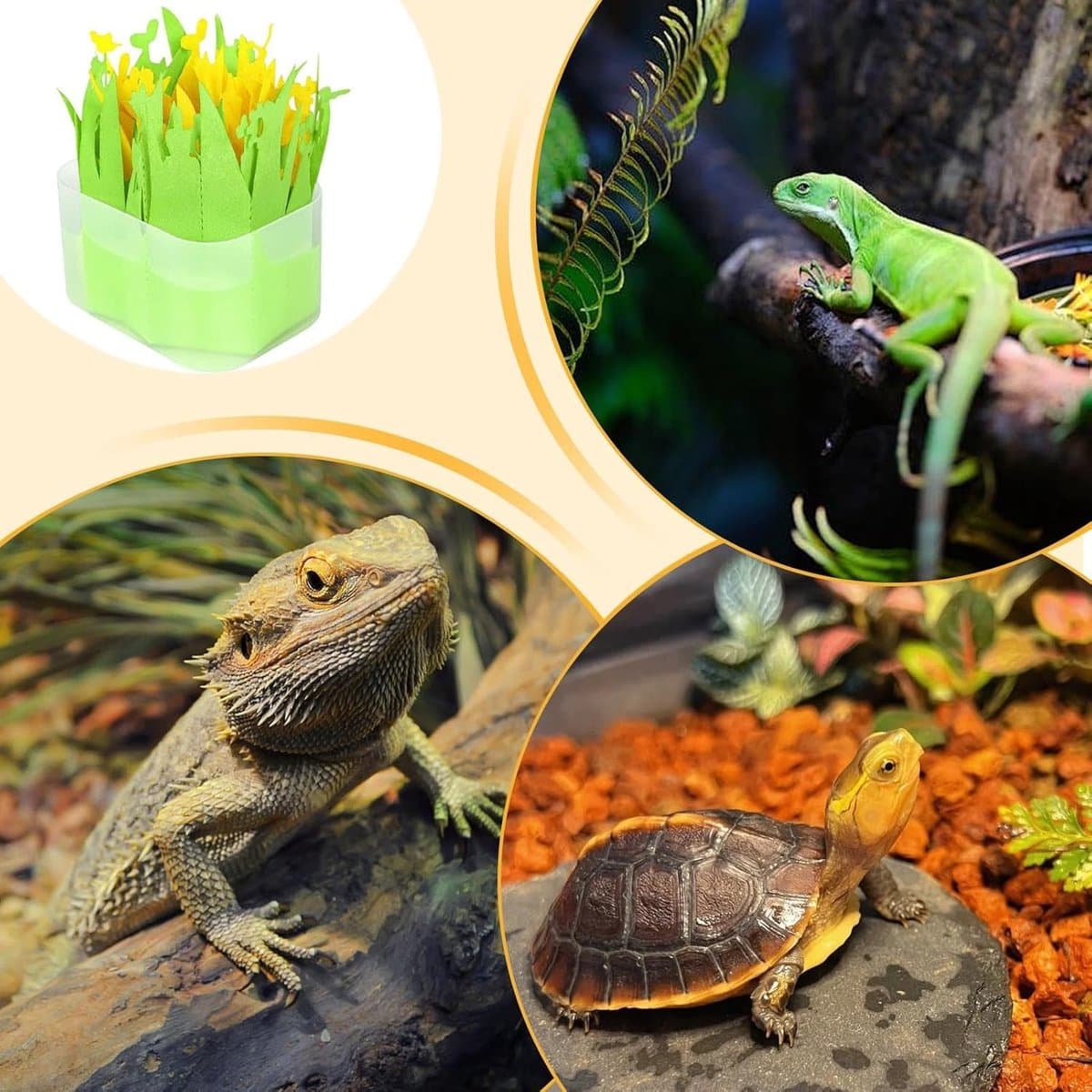 Reptielen Terrarium Luchtbevochtiger - Bevochtigingssysteem Plantenvorm - Terrarium Klimaatbeheersing - Passieve Verdamping Zonder Stroom thumbnail 2