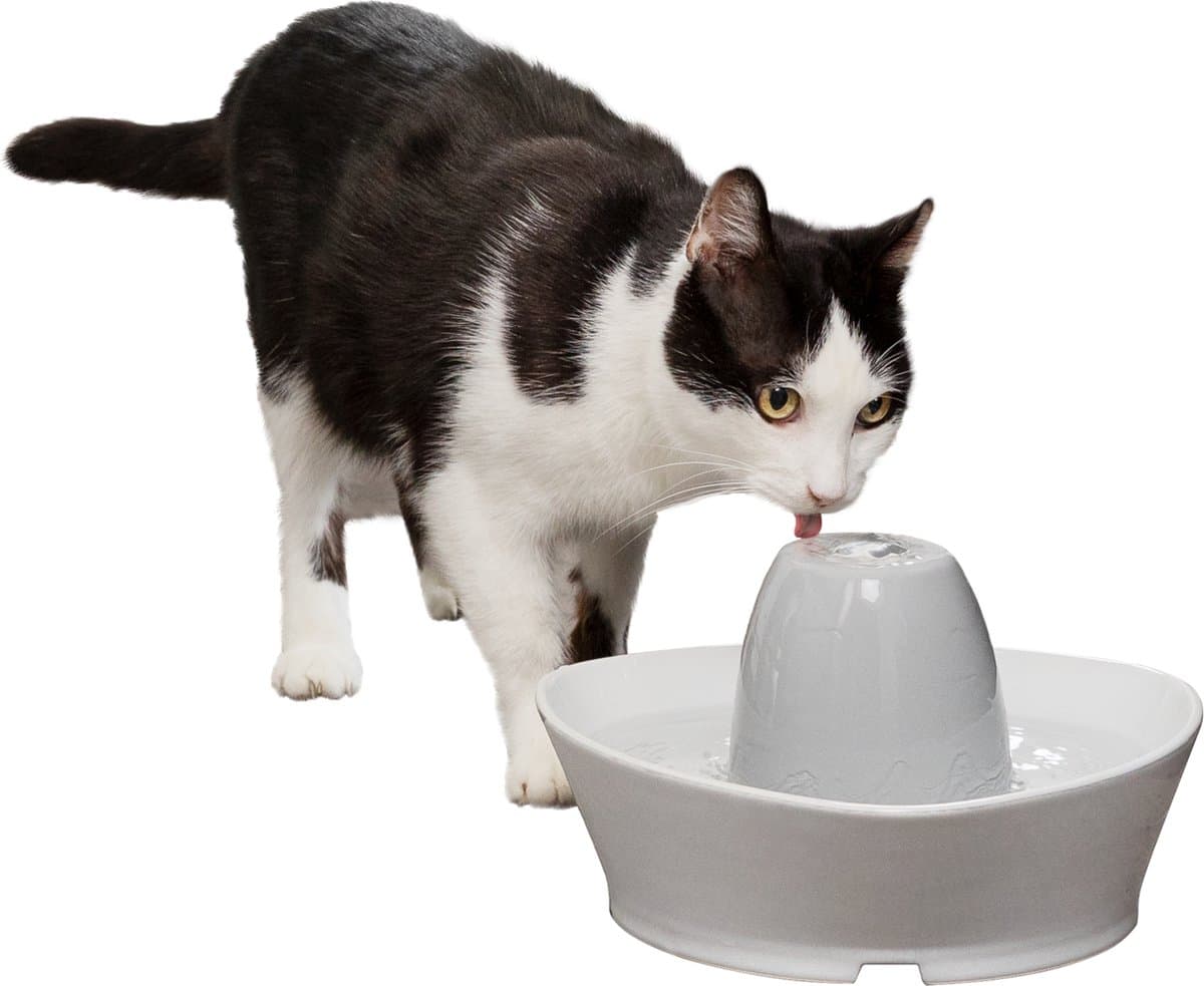 PetSafe® Streamside Ceramic Pet Fountain - Keramische drinkfontein voor katten en kleine honden - Water borrelt zacht over de toren - Door het design van alle kanten bereikbaar - 1,8 liter - PetSafe Streamside thumbnail 2