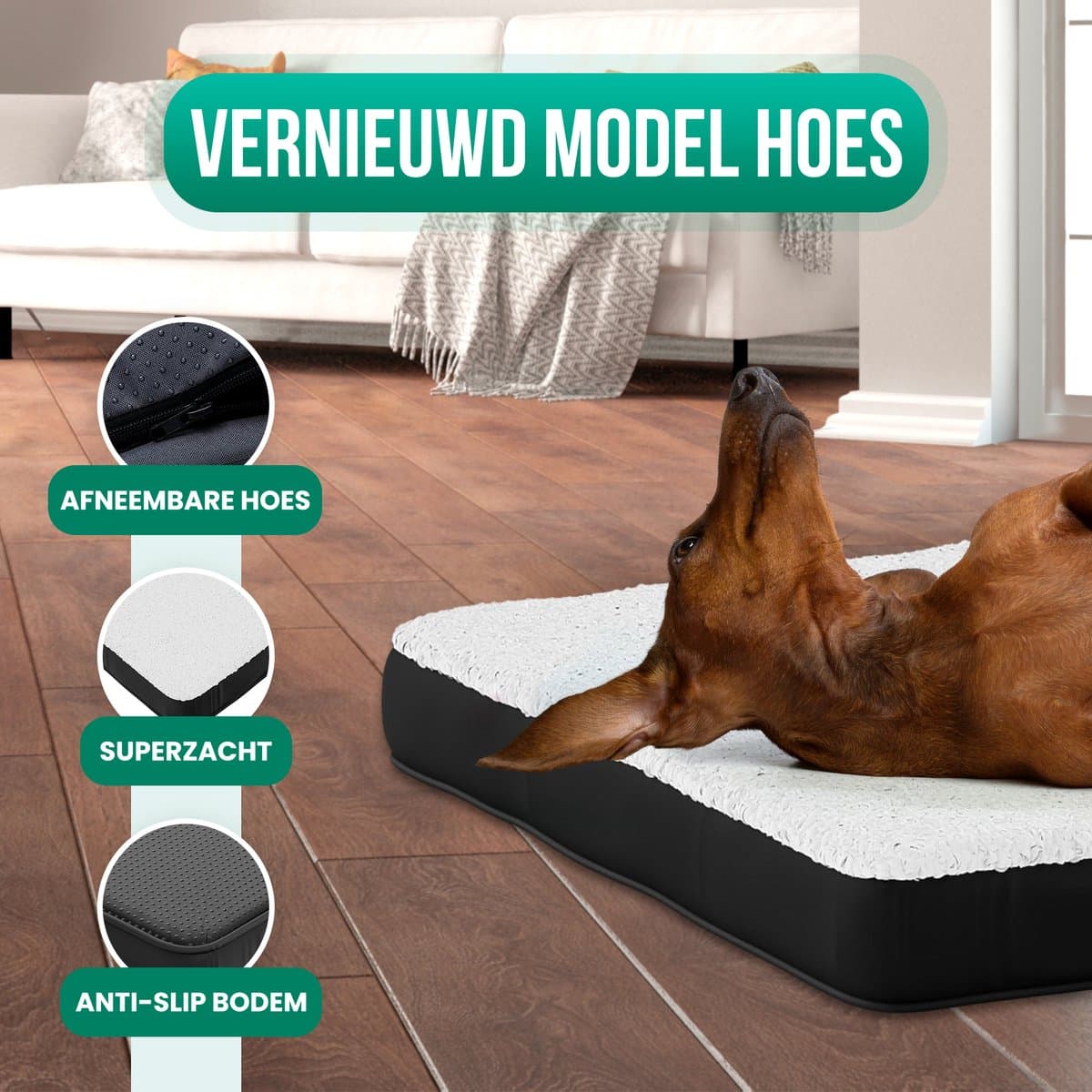 Avalo Orthopedisch Hondenkussen S - 45x65 cm - Wasbaar / Traagschuim / Antislip - Orthopedische Hondenmand - Hondenbed thumbnail 5