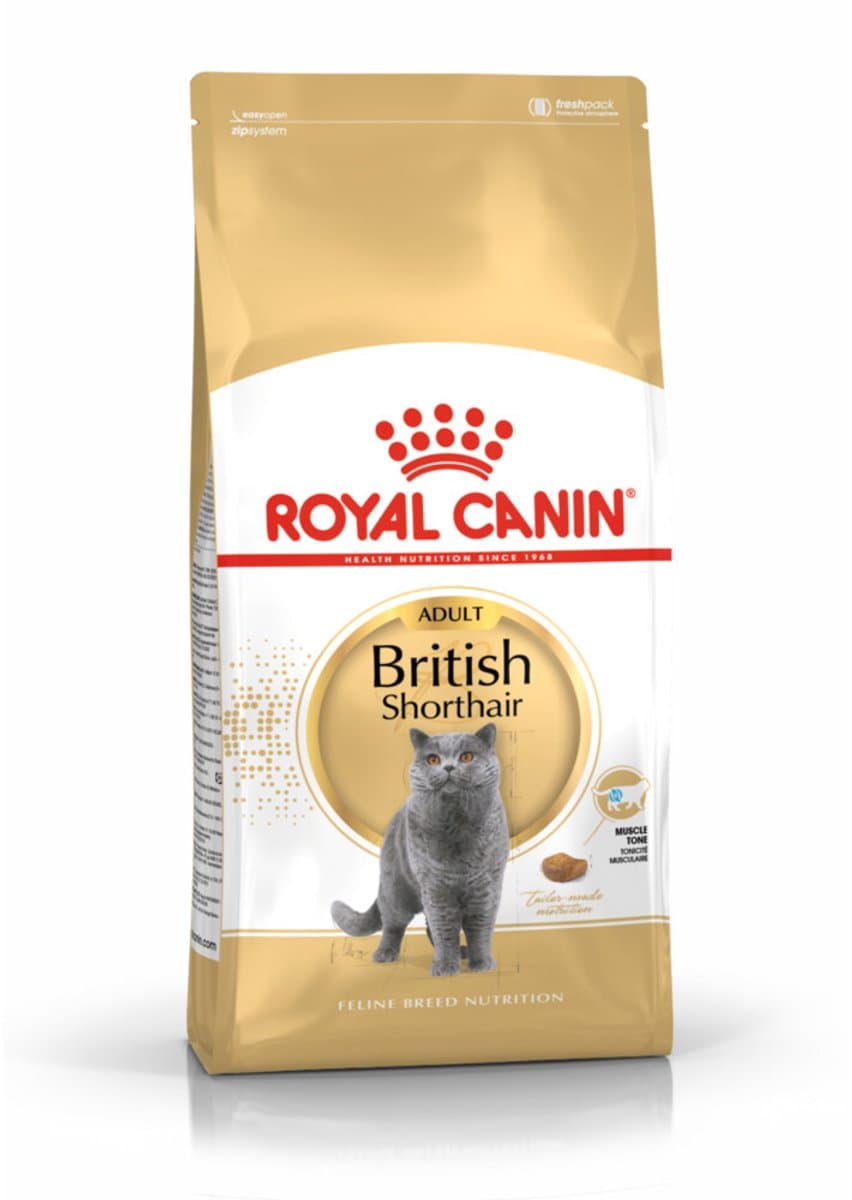 Royal Canin British Shorthair Adult - Voer voor sterkere spieren thumbnail 7