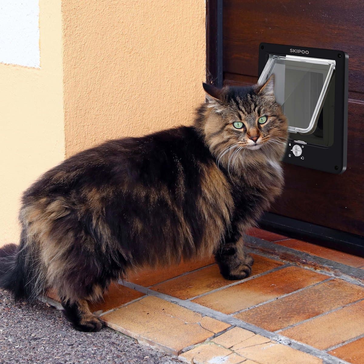 Skipoo Kattenluik met Tunnel – 4 Standen, Zwart (Grote Kat) thumbnail 7
