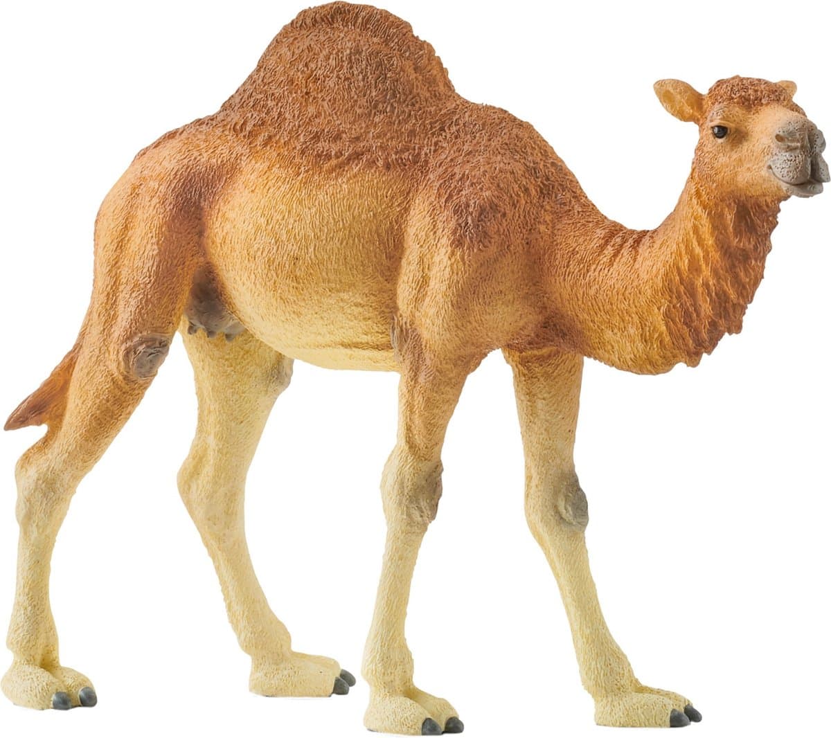 Schleich Wild Life Dromedaris: natuurgetrouw speelfiguur - afbeelding 1