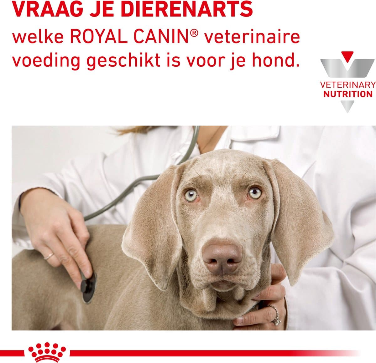 Royal Canin Hypoallergenic Hondenvoer 14 kg – Dieetvoer Allergie thumbnail 3