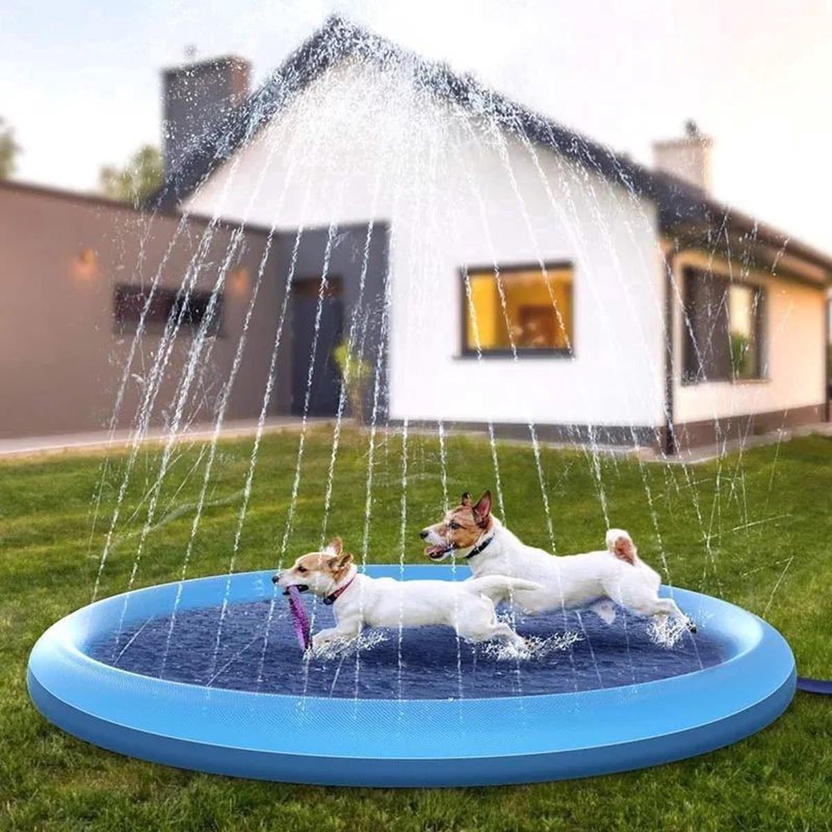 WVspecials Hondenzwembad 200cm - Verkoeling hond - waterspeelgoed buiten - watersproeier speelgoed - hondenspeelgoed- afkoeling hond - afkoelen - zwembad - speelzwembad - babyzwembad - opblaasbaar - outdoor koelmat hond - honden speelgoed thumbnail 2