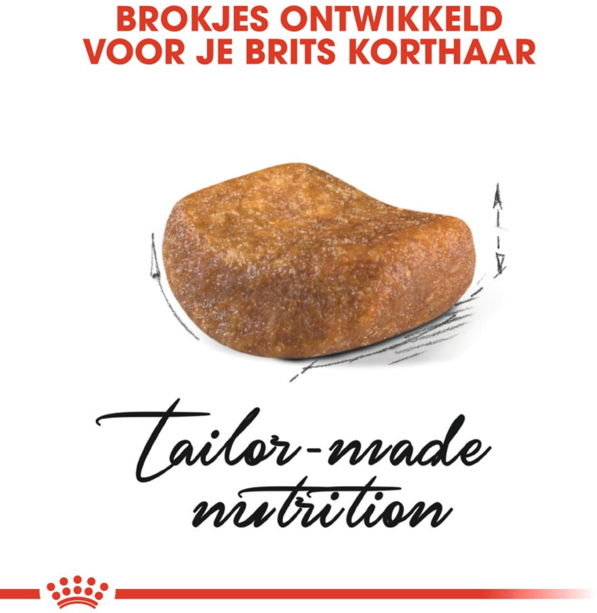Royal Canin British Shorthair Adult - Voer voor sterkere spieren thumbnail 4