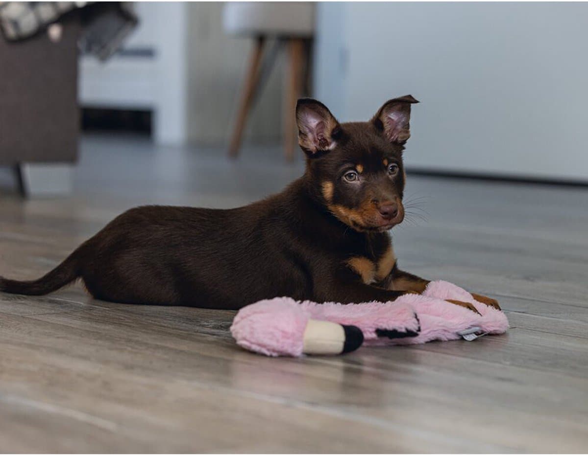 Beeztees Puppy Flatino Flamingo Fe - Puppy Speelgoed - Puppyknuffel - Hondenspeelgoed - Roze 72 x 27 x 5 cm - Hond thumbnail 5