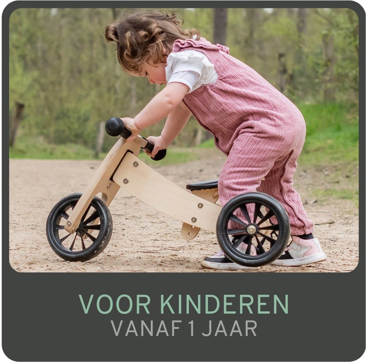 Bandits & Angels Smart Bike Loopfiets Hout 4-in-1 vanaf 1 jaar - Voor Jongens en Meisjes - Houten Loop Fiets - Omkeerbaar in Driewieler en Tweewieler - Verstelbaar Zadel thumbnail 7