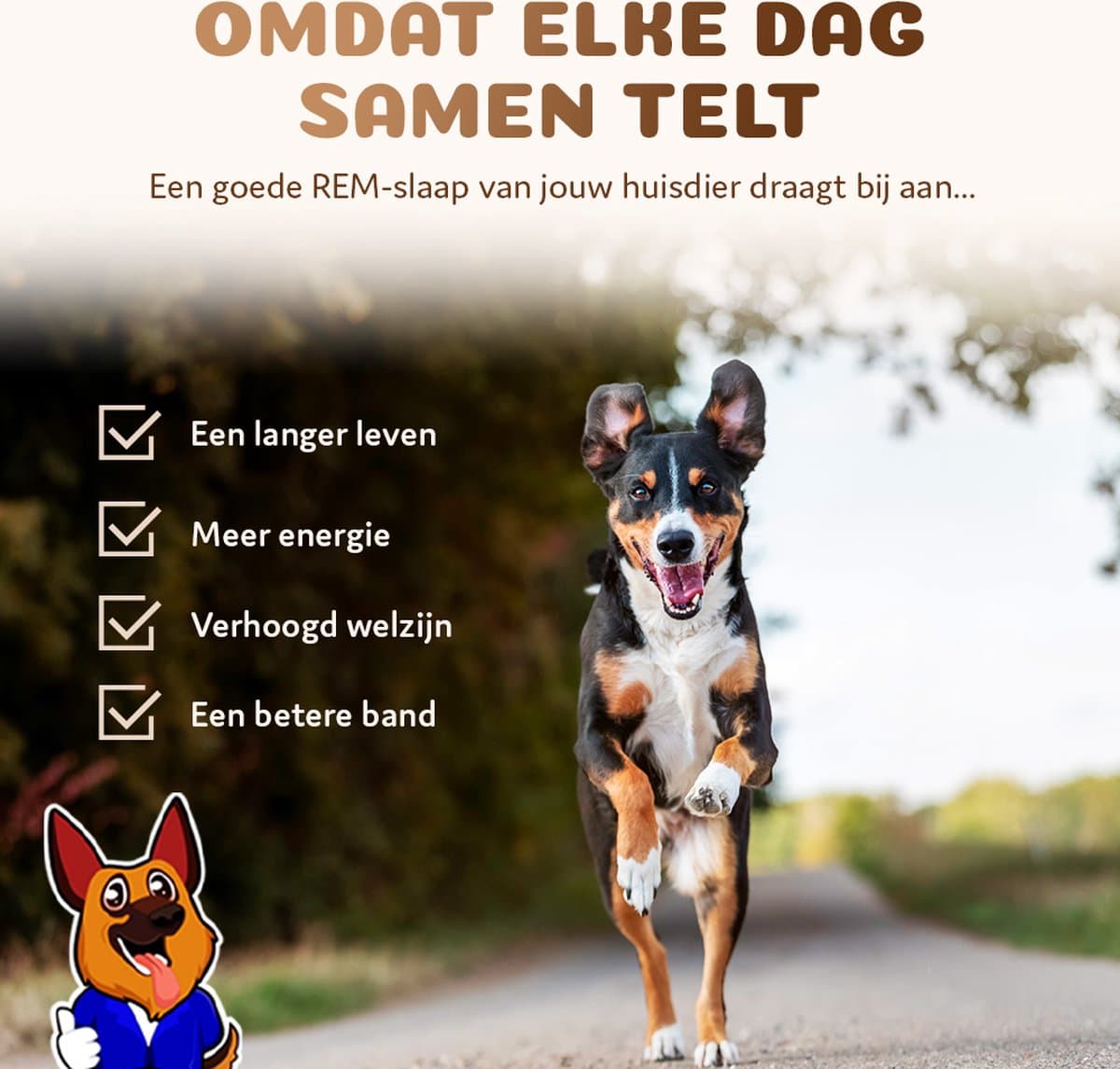 Pet Perfect Orthopedische Hondenmand – Donut Hondenmand – Hondenkussen – Hondenbed – Wasbaar - 80 cm - Zwart thumbnail 3