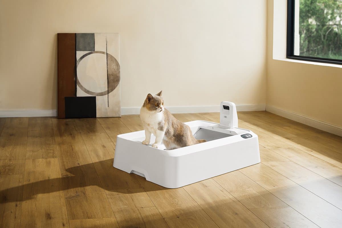 Petkit - Purobot Crystal Duo met camera - Automatische kattenbak - AI camera - Dierengezondheid thumbnail 4