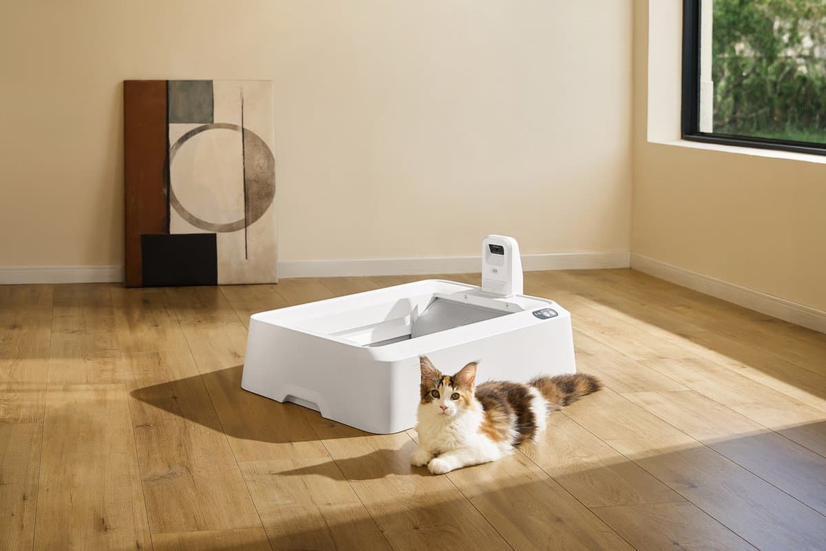 Petkit - Purobot Crystal Duo met camera - Automatische kattenbak - AI camera - Dierengezondheid thumbnail 6