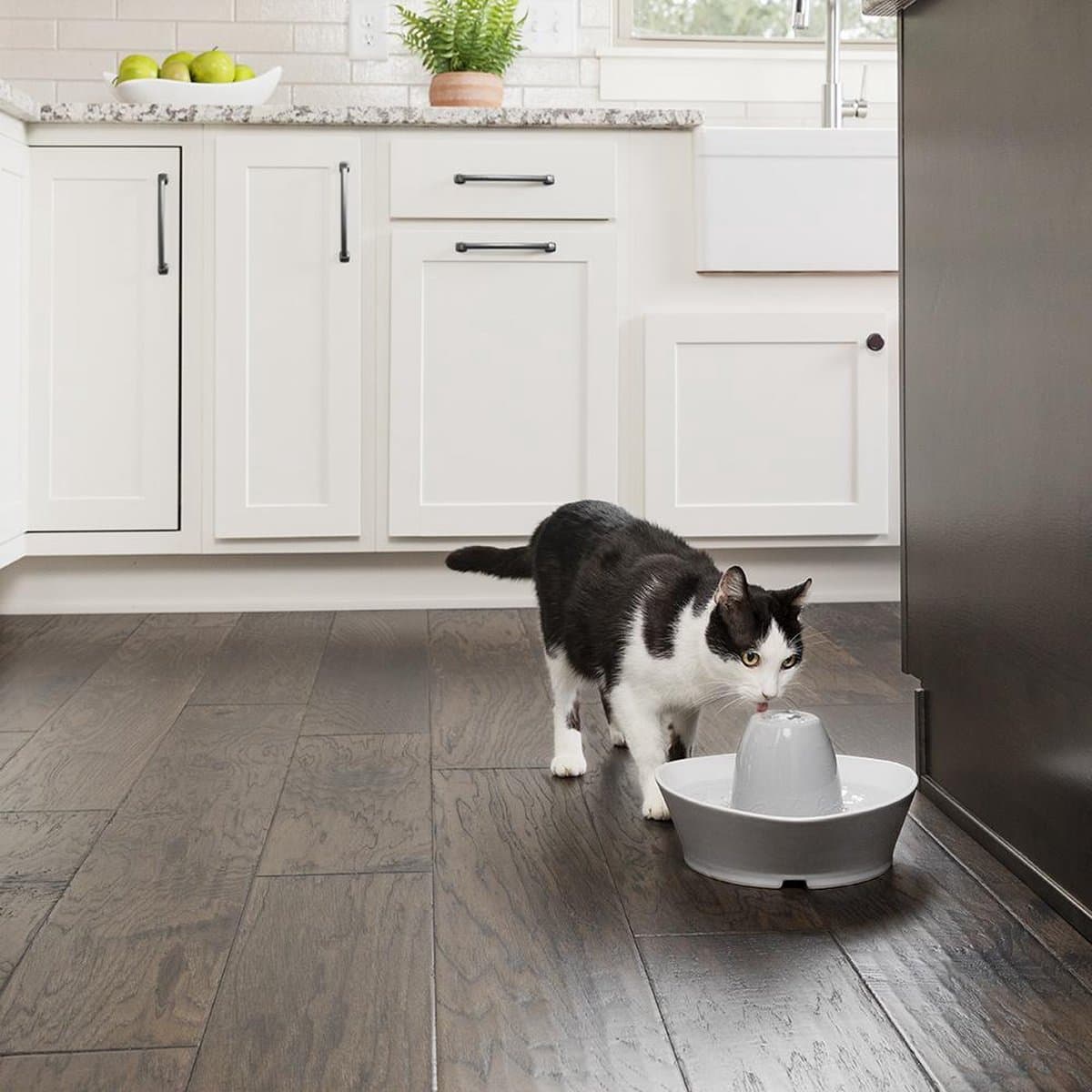 PetSafe® Streamside Ceramic Pet Fountain - Keramische drinkfontein voor katten en kleine honden - Water borrelt zacht over de toren - Door het design van alle kanten bereikbaar - 1,8 liter - PetSafe Streamside thumbnail 3