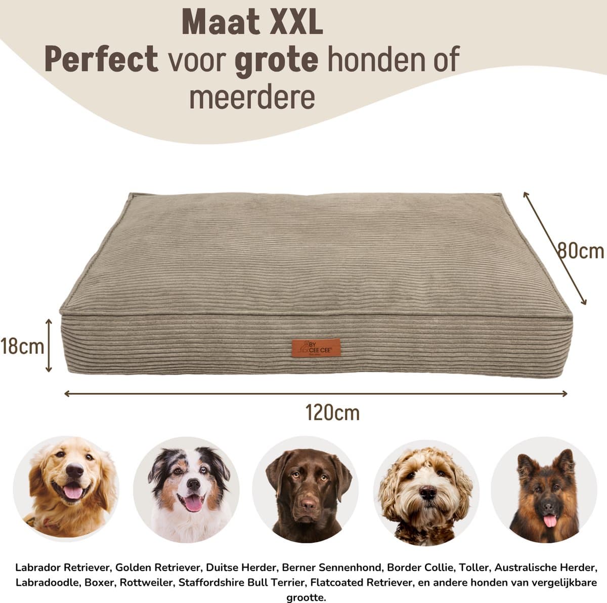 By Cee Cee Orthopedisch Hondenkussen - Hondenmand Met Wasbare Hoes- Geschikt Als Benchkussen & Hondenbed XXL - Foam Flakes Vulling - Ribstof Mokka Taupe - 120x80x18cm - Arlo thumbnail 3