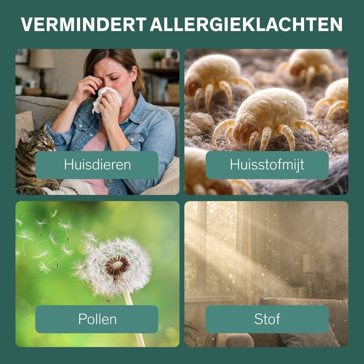 Sinji Luchtreiniger / Air Purifier – HEPA H13 + Koolstoffilter – 220 m³/u, voor ruimtes tot ca. 55 m² – Ionisatie – Afstandsbediening – Timer & Display – Helpt bij stof, pollen & huisstofmijt thumbnail 5