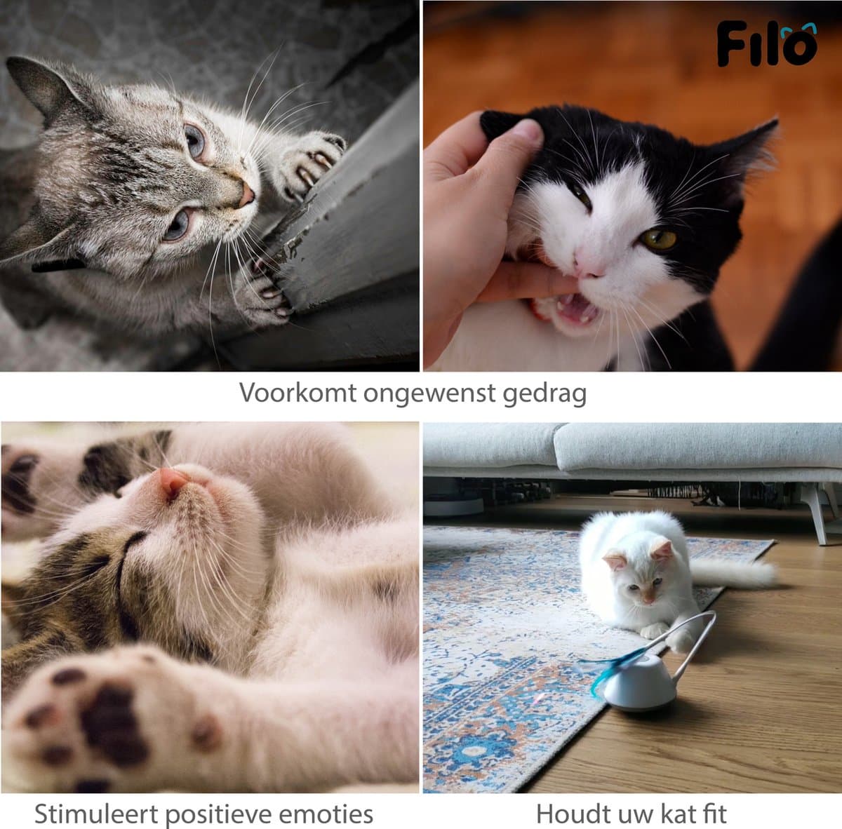 Filo Elektrisch Kattenspeelgoed met Laser - Interactief Rijdend Katten Speelgoed - Kattenspeeltjes Automatisch - Speelgoed Kat - Cat Toy - Kitten Speeltjes thumbnail 7